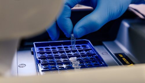 pcr1